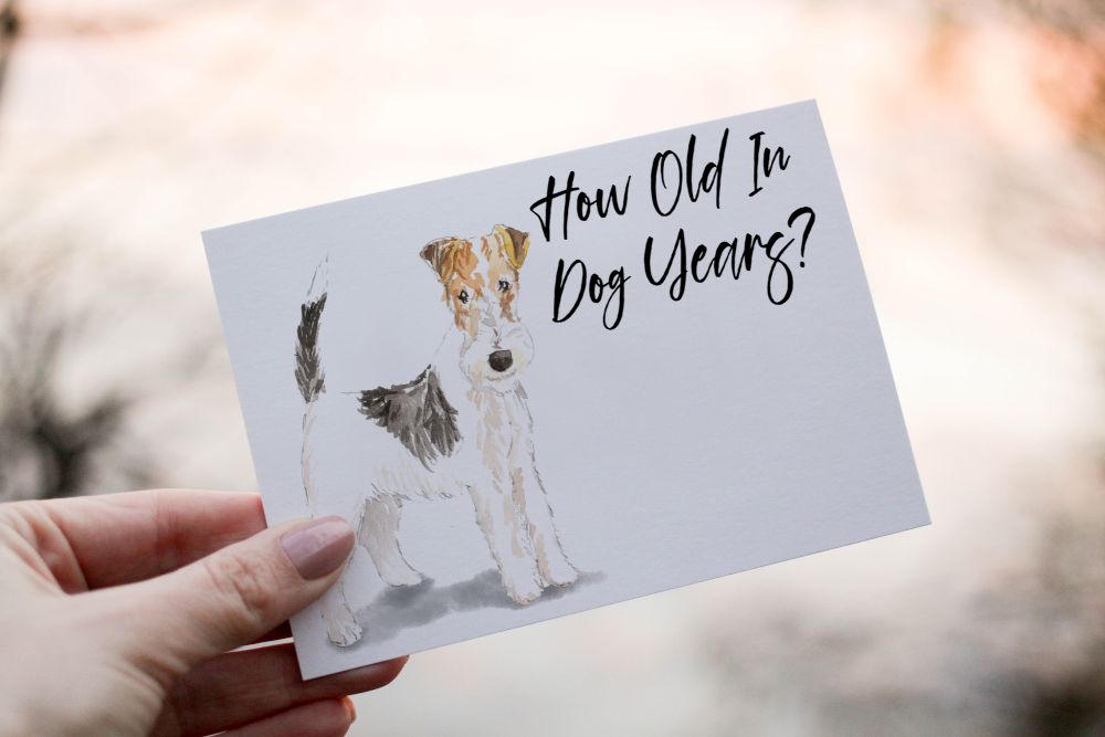 Fox Terrier Dog Birthday Card, Dog Birthday Card - Click Image to Close